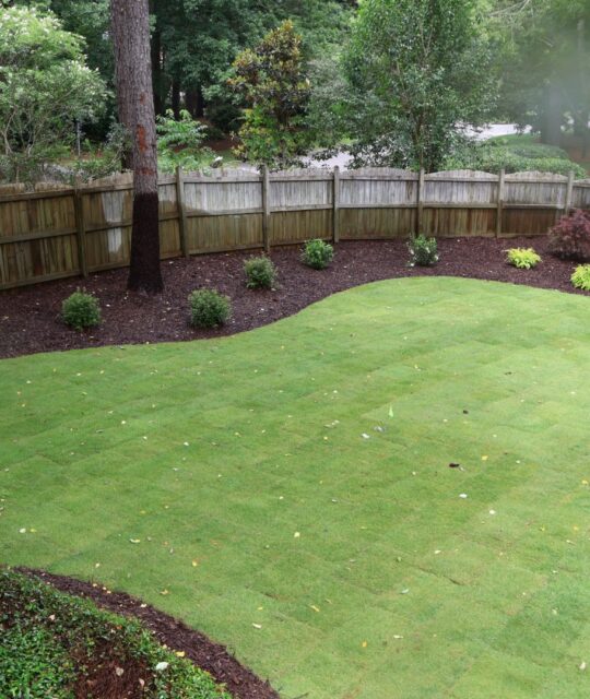 🌿 Transform Your Outdoor Space with Local Lawn Care in Blythewood, SC! 🌿 Looking for top-notch lawn care services in Blythewood, SC? Look no further than Greenscapes! We are your trusted local experts in landscaping, hardscaping, outdoor lighting, irrigation, and maintenance.