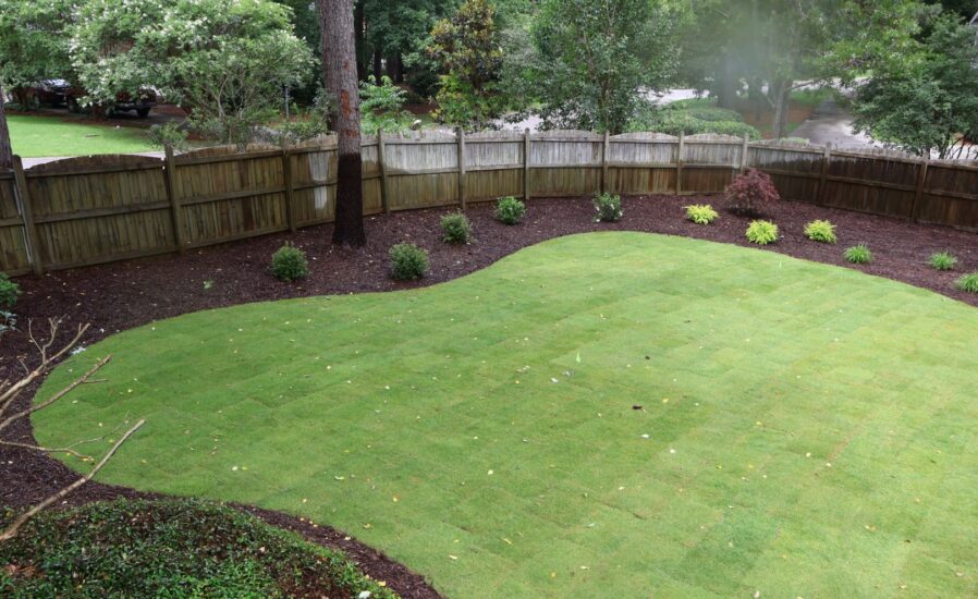 🌿 Transform Your Outdoor Space with Local Lawn Care in Blythewood, SC! 🌿 Looking for top-notch lawn care services in Blythewood, SC? Look no further than Greenscapes! We are your trusted local experts in landscaping, hardscaping, outdoor lighting, irrigation, and maintenance.