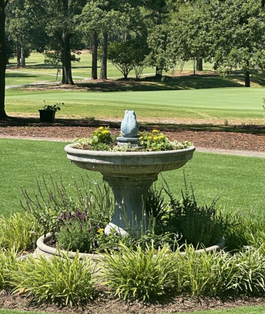 🌿 Transform Your Outdoor Space with Local Lawn Care in Blythewood, SC! 🌿 Looking for top-notch lawn care services in Blythewood, SC? Look no further than Greenscapes! We are your trusted local experts in landscaping, hardscaping, outdoor lighting, irrigation, and maintenance.