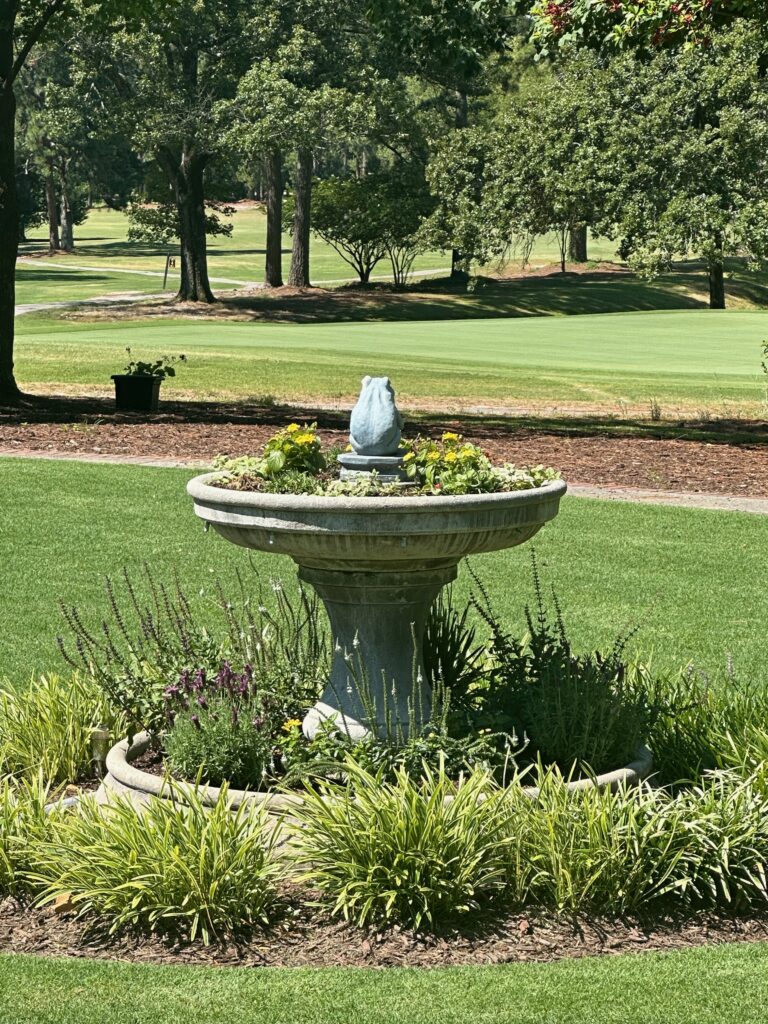 🌿 Transform Your Outdoor Space with Local Lawn Care in Blythewood, SC! 🌿 Looking for top-notch lawn care services in Blythewood, SC? Look no further than Greenscapes! We are your trusted local experts in landscaping, hardscaping, outdoor lighting, irrigation, and maintenance.